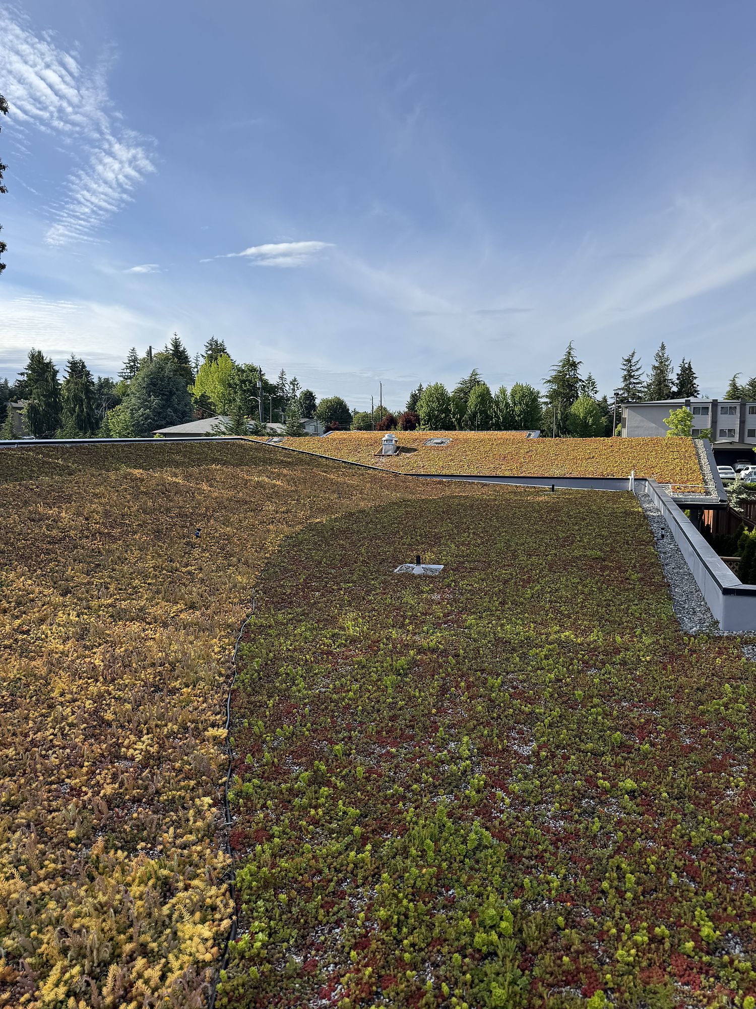 Green roof and site — From an empty lot to a licensed childcare centre.